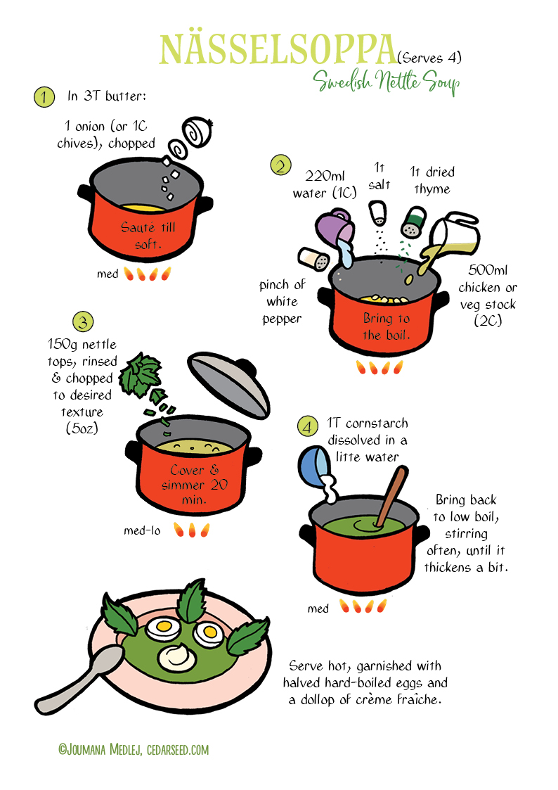 Nässelsoppa (Swedish Nettle Soup) – Cedarseed